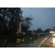 fotografia